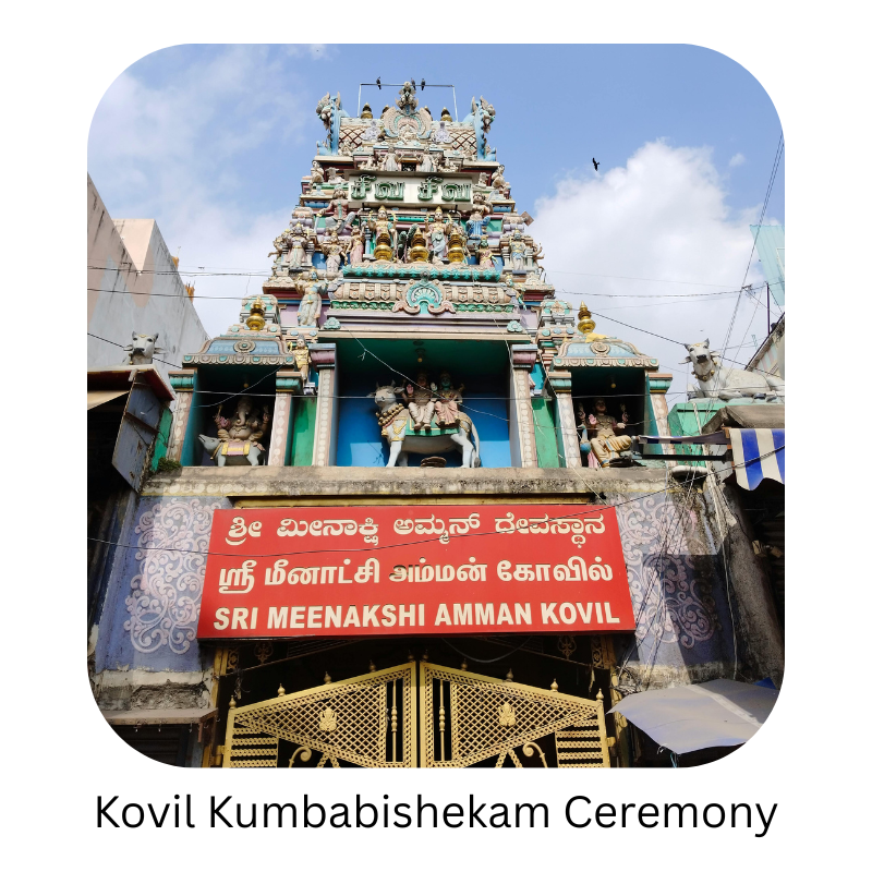 Your paragraph text (16)