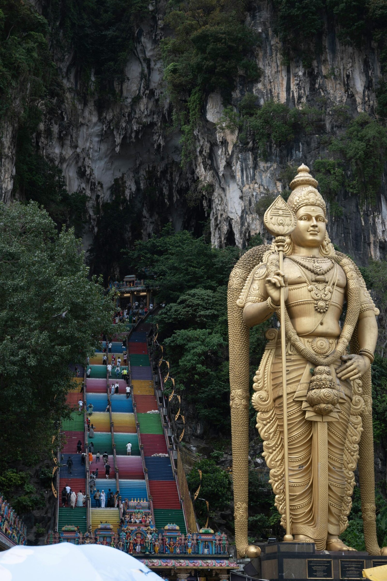 Traditional Photography